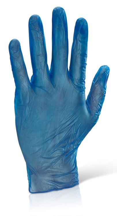 Beeswift Disposable Powder Free Vinyl Gloves (1000 Pack)