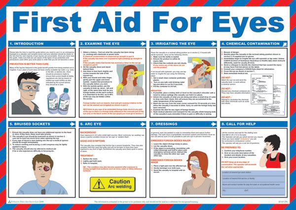 Beeswift First Aid for Eyes Poster (A2)