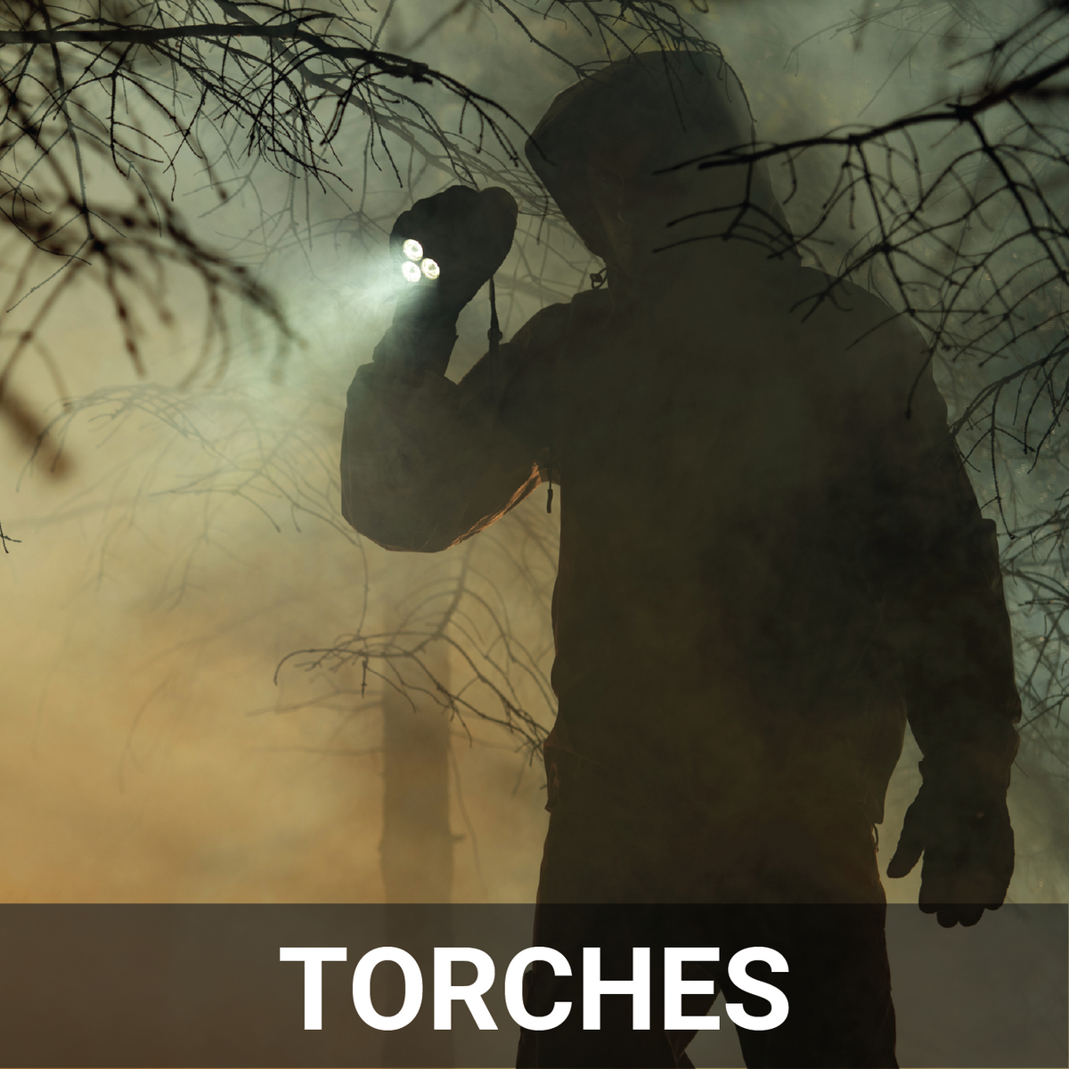 Torches