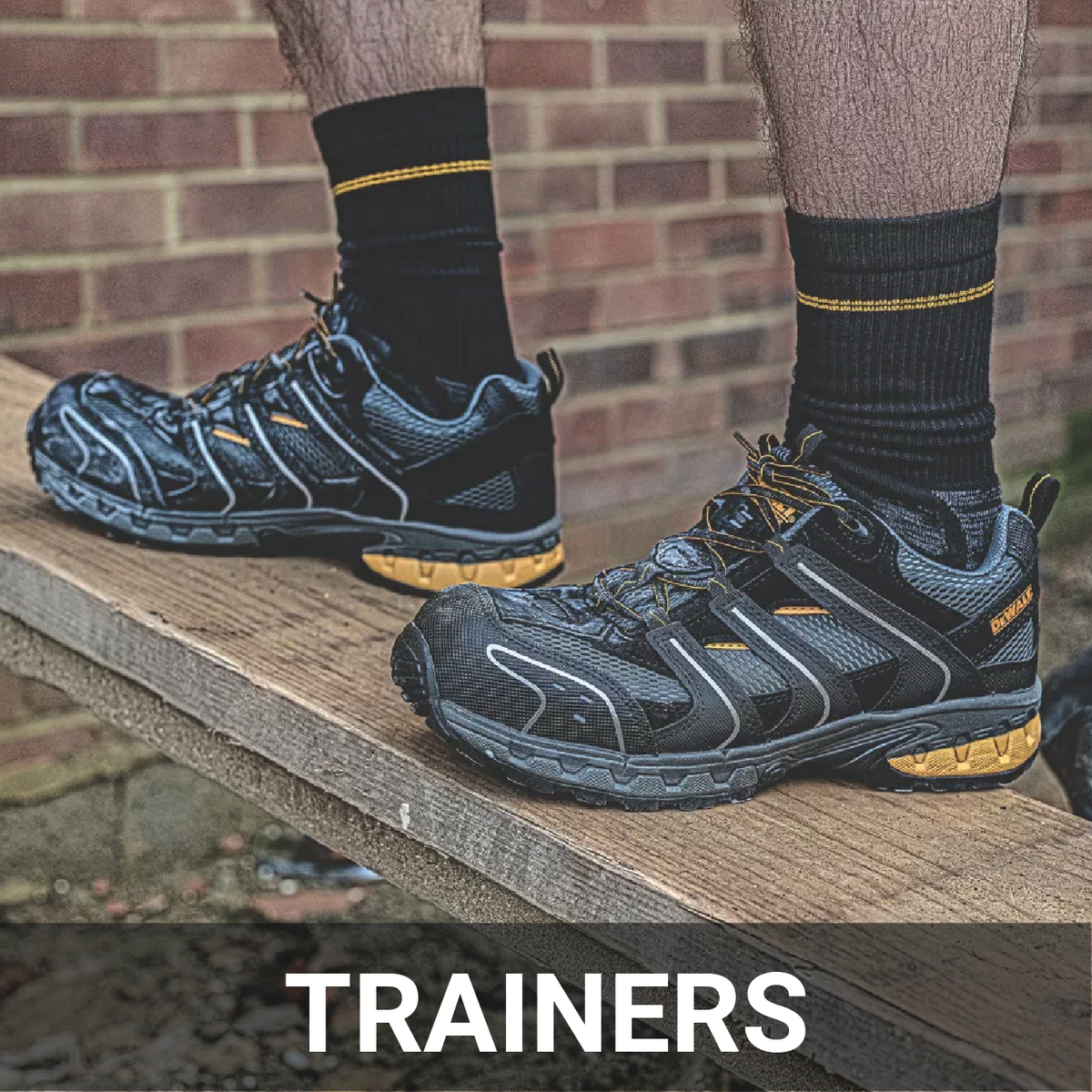 Trainers