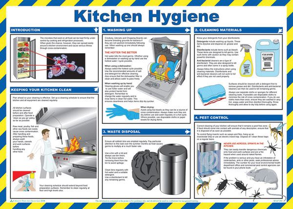 Beeswift Kitchen Hygiene Poster (A2)