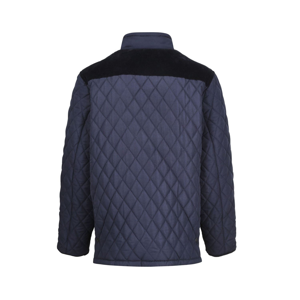 Champion Lewis Jacket