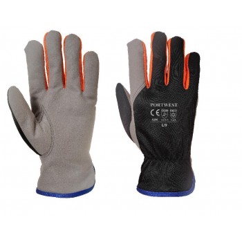 Wintershield Glove Wintershield Glove