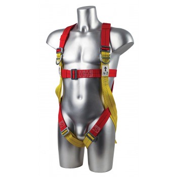 2 Point Harness Plus 2 Point Harness Plus