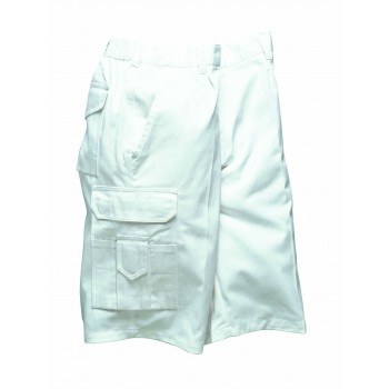 Painters Shorts Painters Shorts